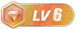 等级-LV6-CVK科技